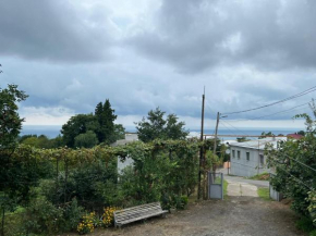 Zukas GUEST HOUSE